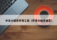 中文小程序開發(fā)工具（開發(fā)小程序語(yǔ)言）