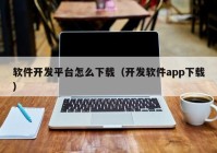 軟件開(kāi)發(fā)平臺(tái)怎么下載（開(kāi)發(fā)軟件app下載）