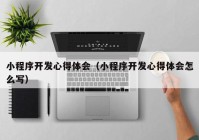 小程序開(kāi)發(fā)心得體會(huì)（小程序開(kāi)發(fā)心得體會(huì)怎么寫）